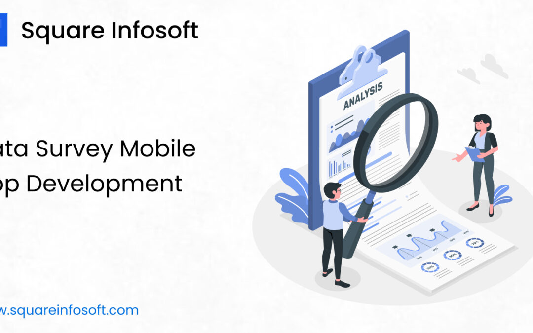 Data Survey Mobile App Development